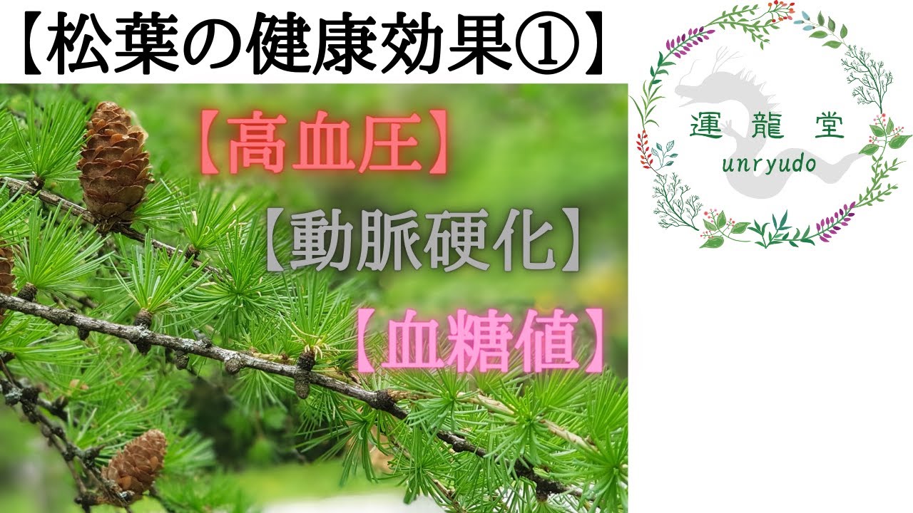 【松葉の健康効果①】高血圧、血糖値、貧血、動脈硬化、脂質異常症の改善