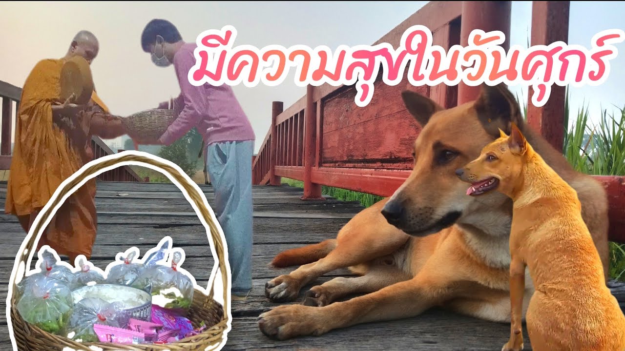 🔴🐼LIVE  มีความสุขในวันศุกร์ 6 ก.พ  #วัดมเหยงคณ์ #อยุธยา #Nopนพพลสตอรี่