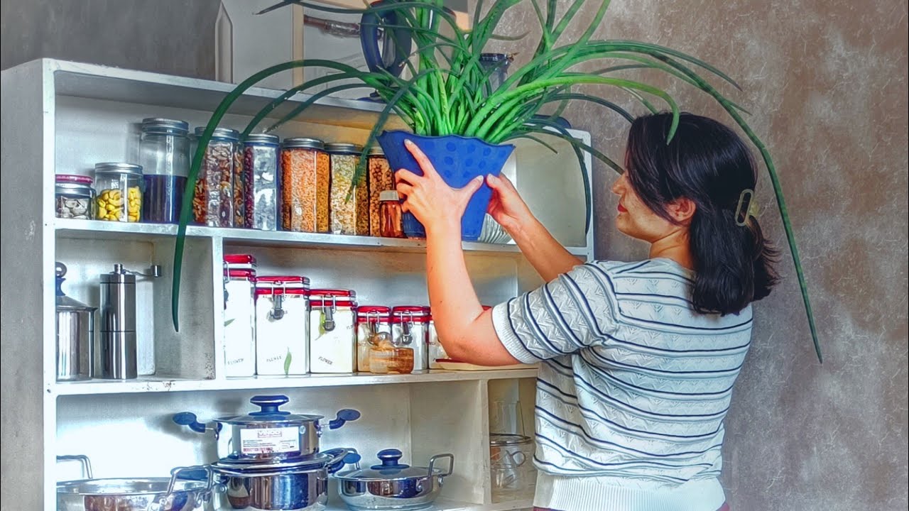 My Cozy Beginning 🍂 | Kitchen & Room Setup Vlog