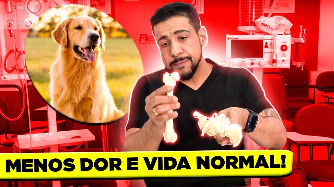 CIRURGIA DE CAVILHA | LUXAÇÃO DA CABEÇA FEMORAL