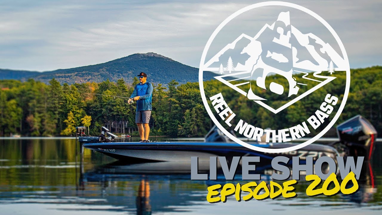 200th Show Special! - Reel Northern Bass Talk Livestream