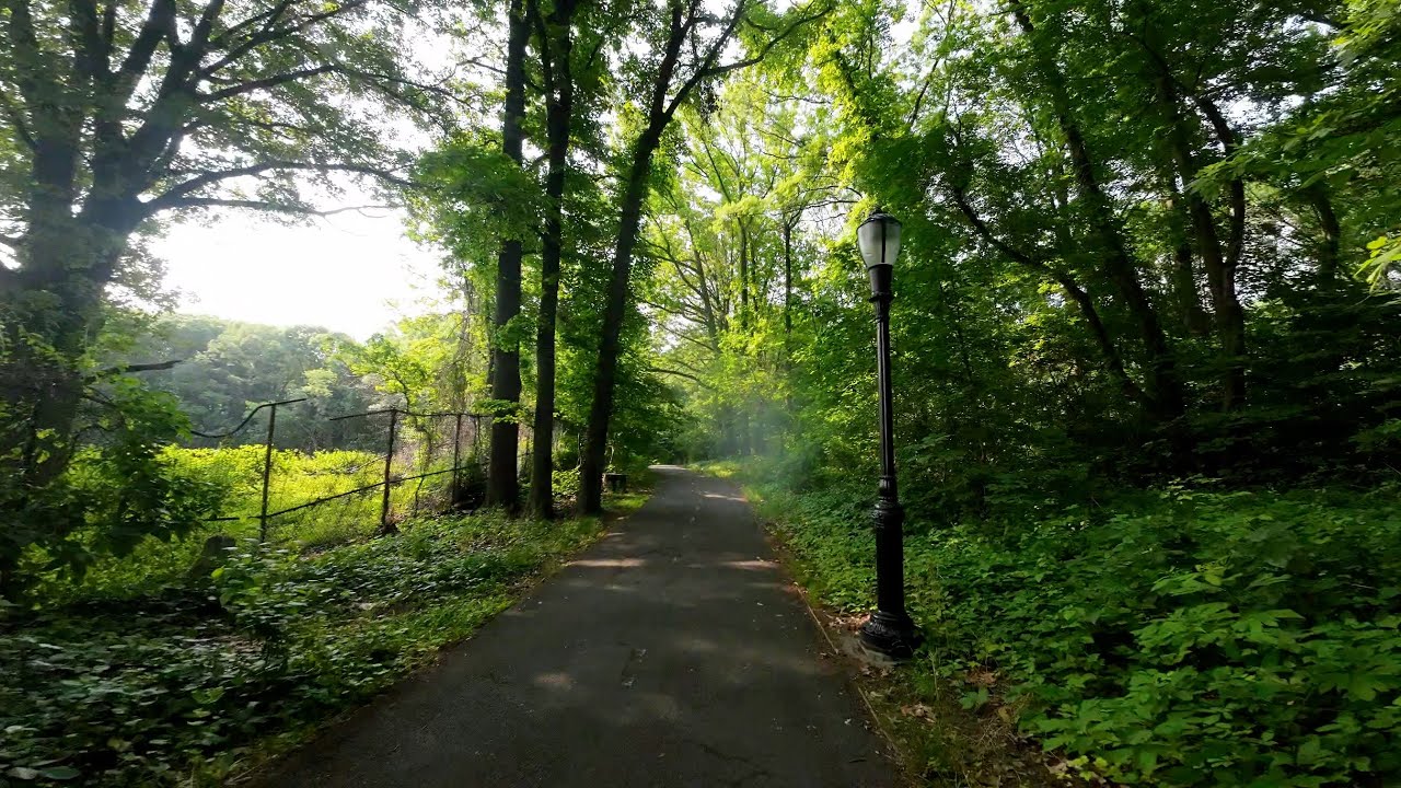6/16/23 Biking from Bed Stuy/Bushwick to Forest Park in Queens in the morning