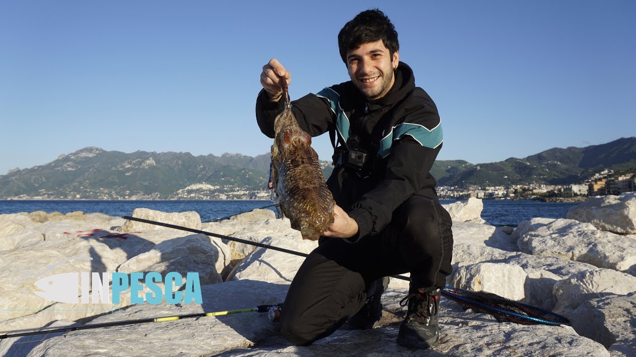 EGING dalla Scogliera | Pesca di SEPPIE BIG dopo la Quarantena