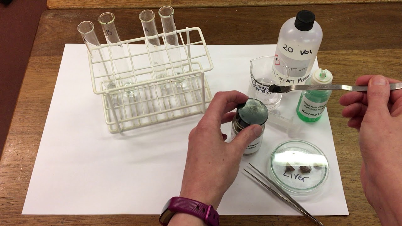 Catalysts reacting with hydrogen peroxide.