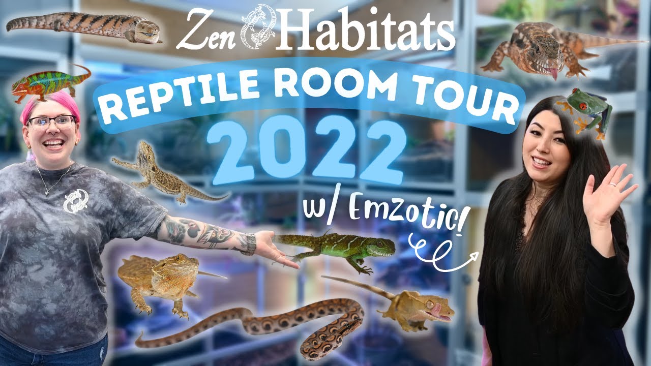 Reptile Room Tour 2022! ALL OUR PETS EDITION! | Zen Habitats