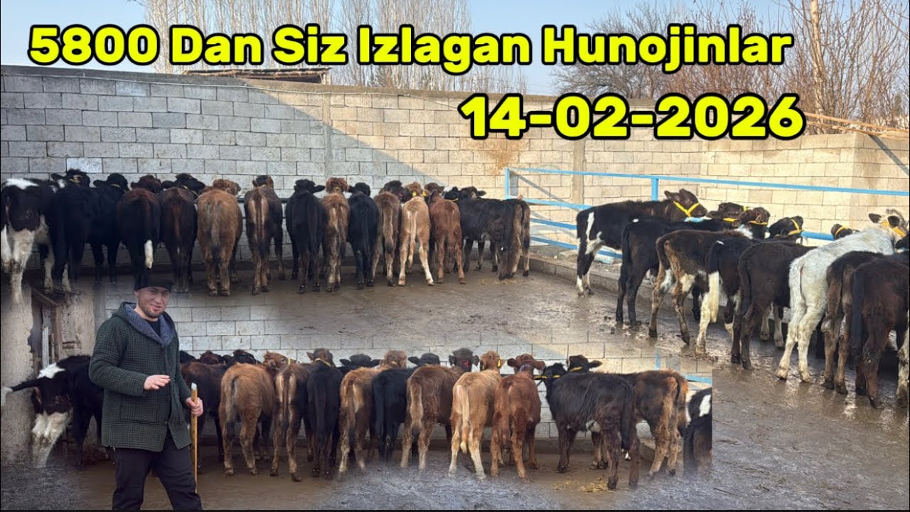 💥5800 Dan Bunaqasi Bolmagan✅MANA BAXORIY KAYFIYAT🥇