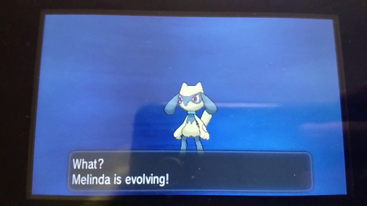 Shiny Female Riolu Evolves into Lucario