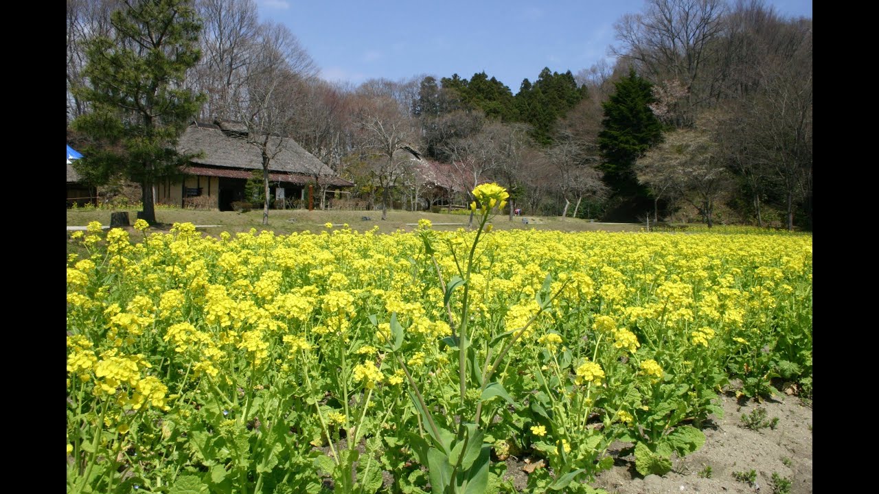 いわき市暮らしの伝承郷　施設案内