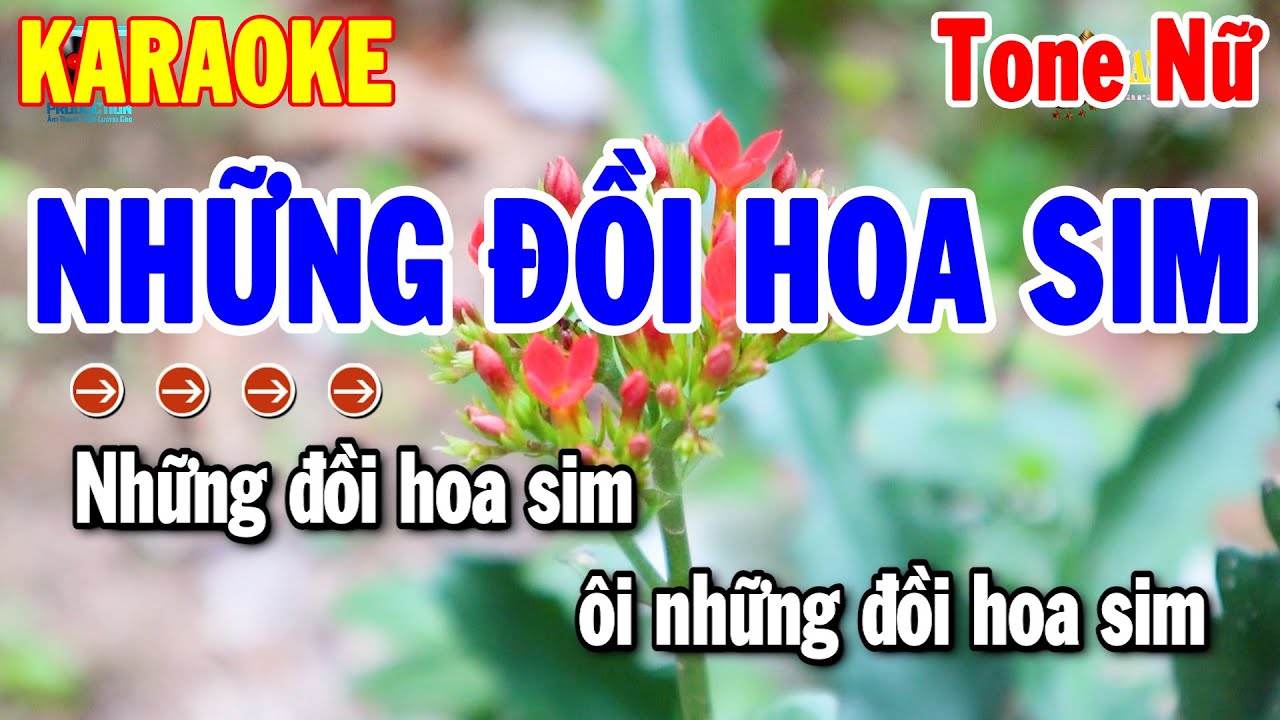 Karaoke Những Đồi Hoa Sim Tone Nữ Nhạc Sống Trữ Tình | Thanh Hải