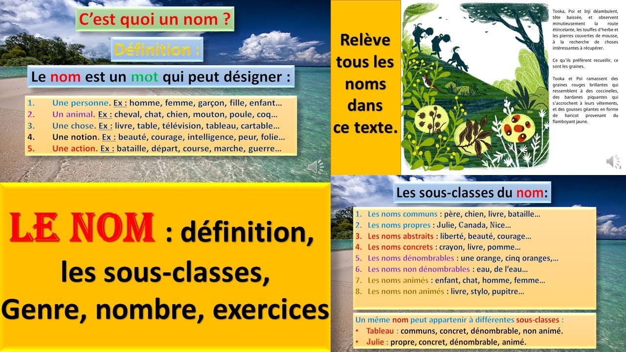C'est quoi un NOM. Définition du nom, les classes du nom : exemples #écoleàlamaison. #lecture.#FLE.