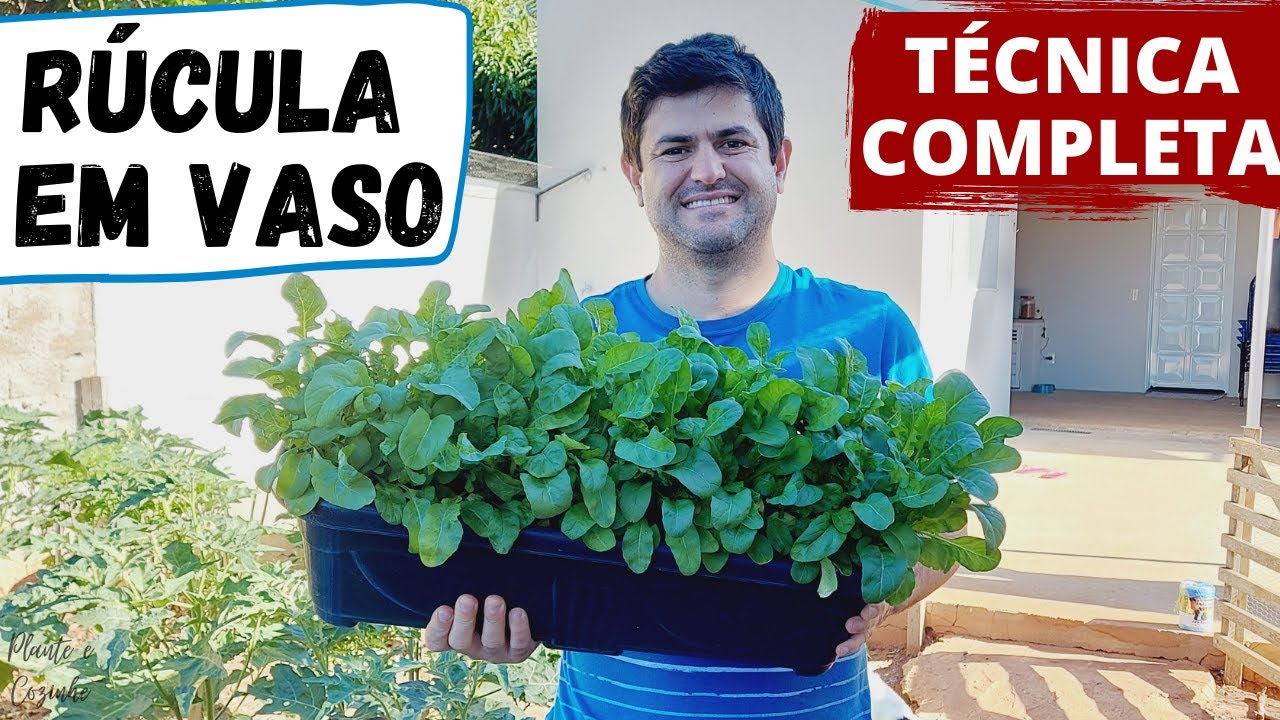 COMO PLANTAR RÚCULA ORGÂNICA NO VASO E TER SUCESSO! PROCESSO COMPLETO DO PLANTIO A COLHEITA (Ep146)