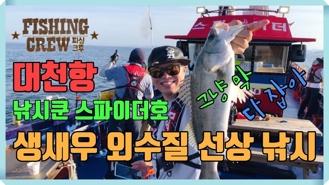 외수질 낚시는 사랑이다! 대천항 낚시쿤 스파이더호 FTV 피싱크루 다잡아 외수질낚시 98편