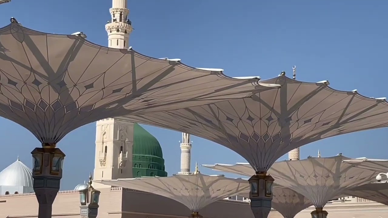 Masjid E Nabwi🤍Dil tarpa dyny walay manzar❤️‍🩹Ashiq E Rasool SAW❤️#trending #viral #fypシ #islamic