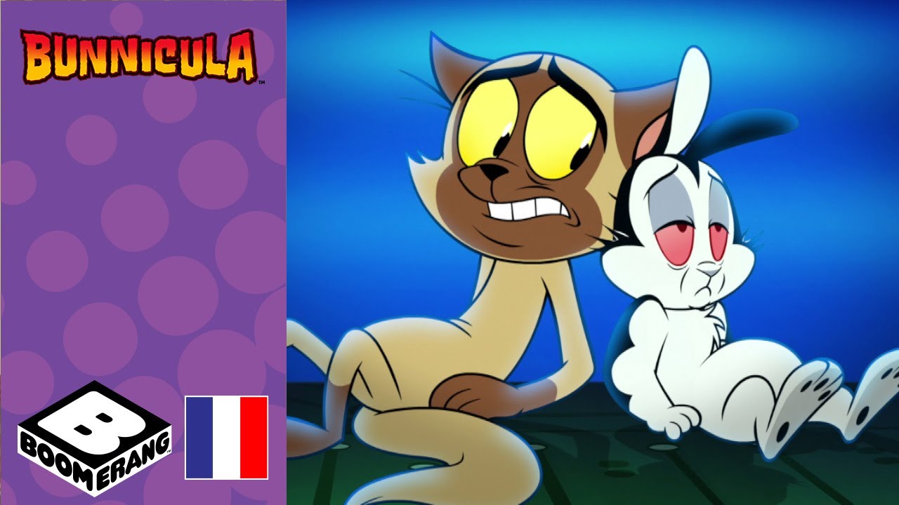 Plus jamais | Bunnicula | @boomerangFR