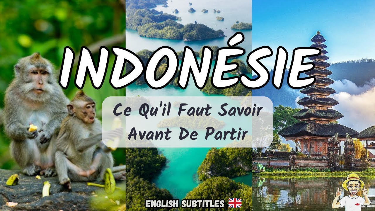 TOUT SAVOIR AVANT DE PARTIR EN INDONÉSIE !!! 🇮🇩 ✈ (Prepare Your Trip To Indonesia)