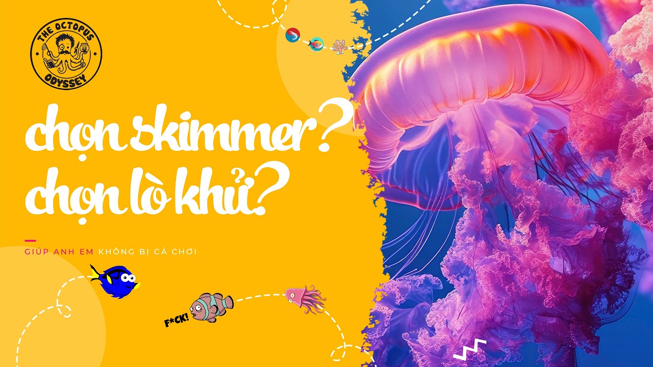 Máy thổi BONG BÓNG và lò BÁT QUÁI cho bể cá biển, san hô | Chọn skimmer, lò khử