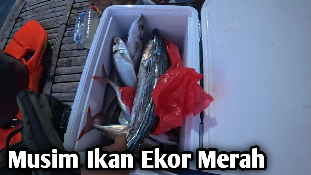 Tangan Kalo lagi Apek Biar Ikan Rame Hasil Mancing Dapat Hikmahnya Saja.