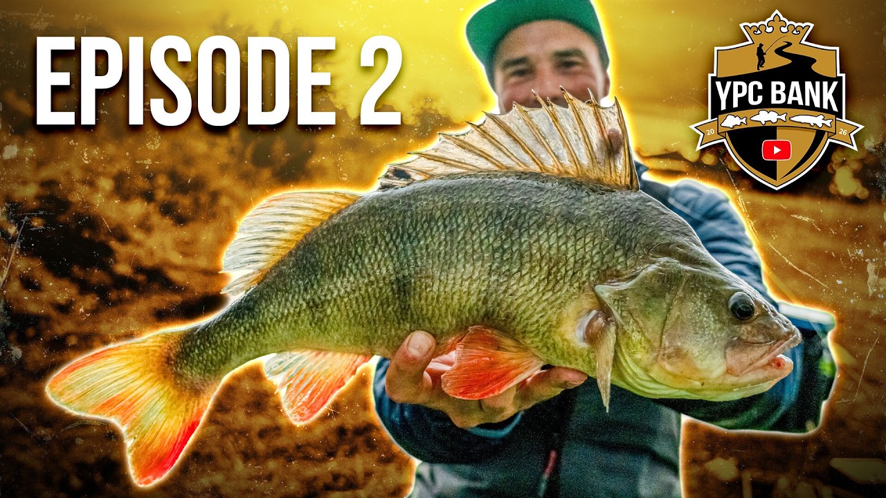 FULL CARDS f&uuml;r ALLE?! YPC BANK 2026 Episode 2