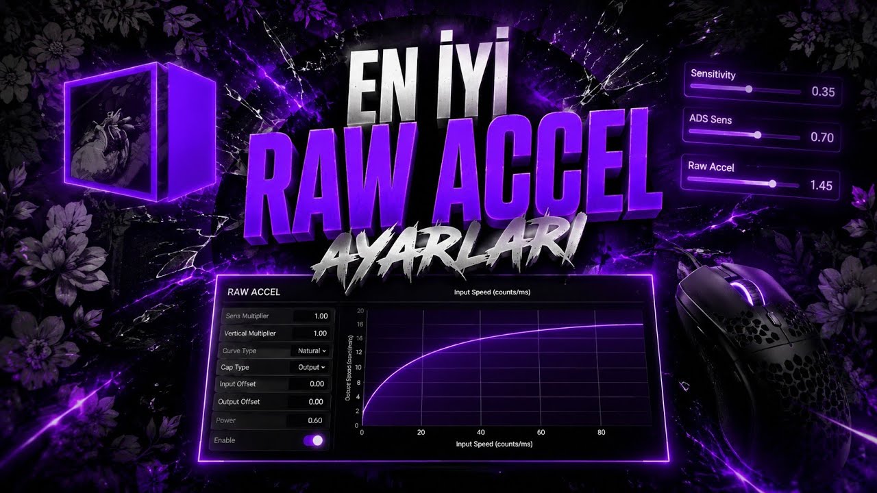 EN İYİ RAW ACCEL AYARLARI