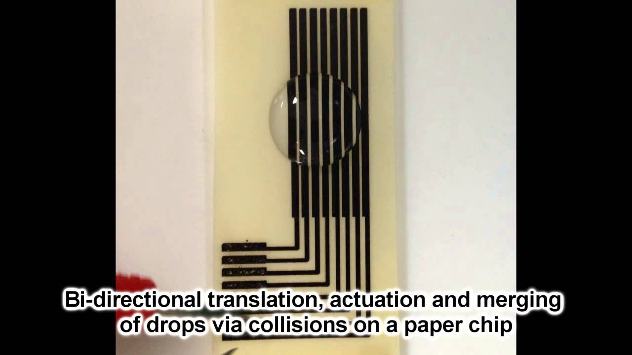 Active Digital Microfluidic Paper Chips with Inkjet-Printed Patterned Electrodes
