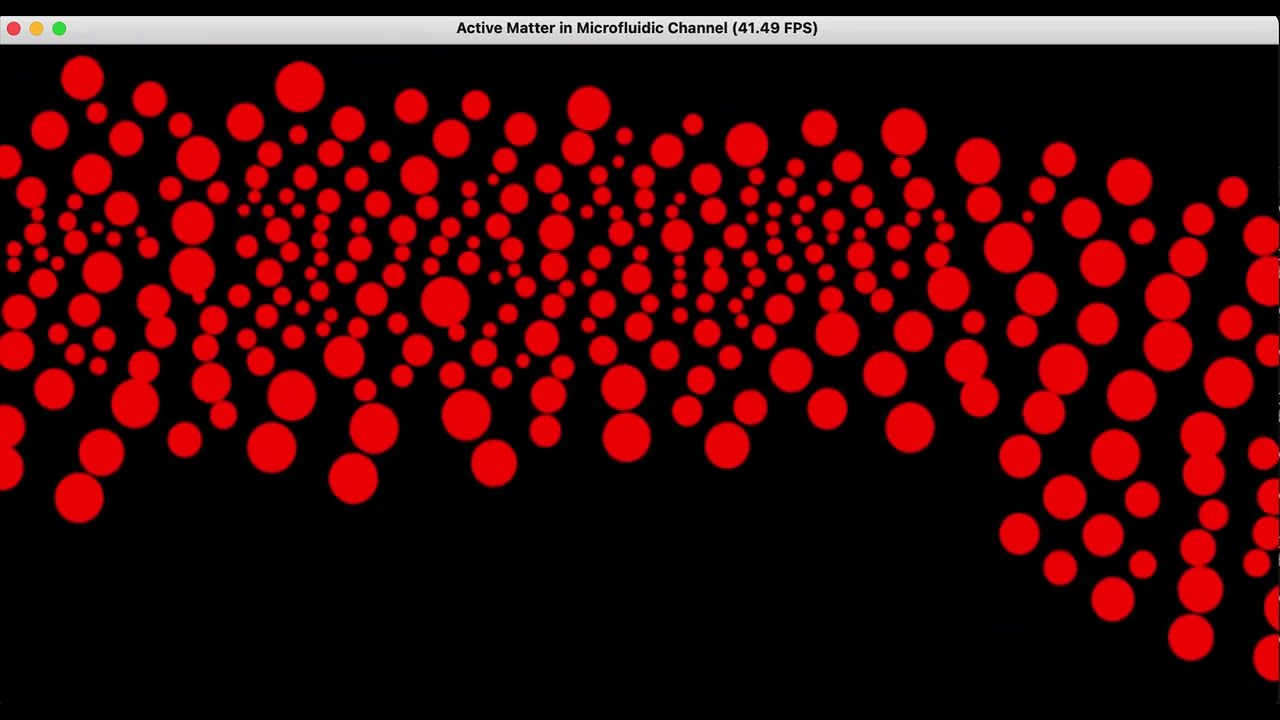 Active Matter Simulation - test case of my simulation code
