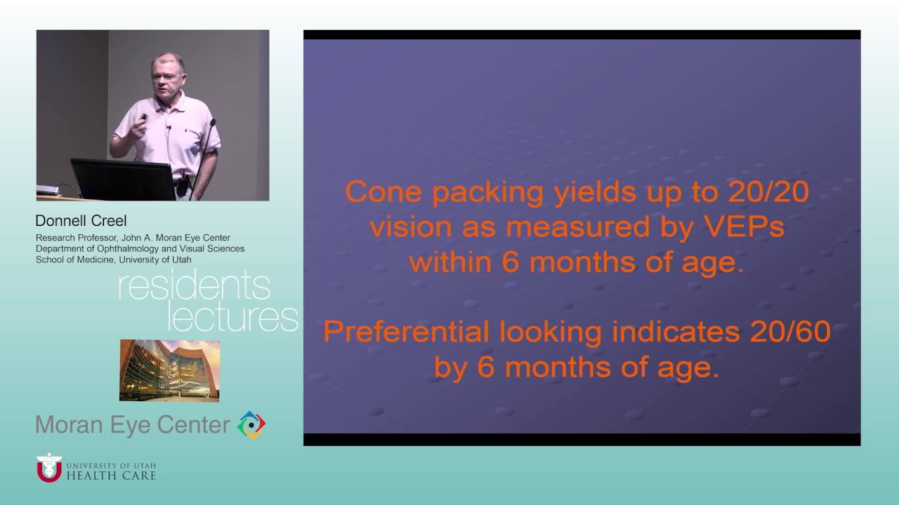 Visually Evoked Potentials