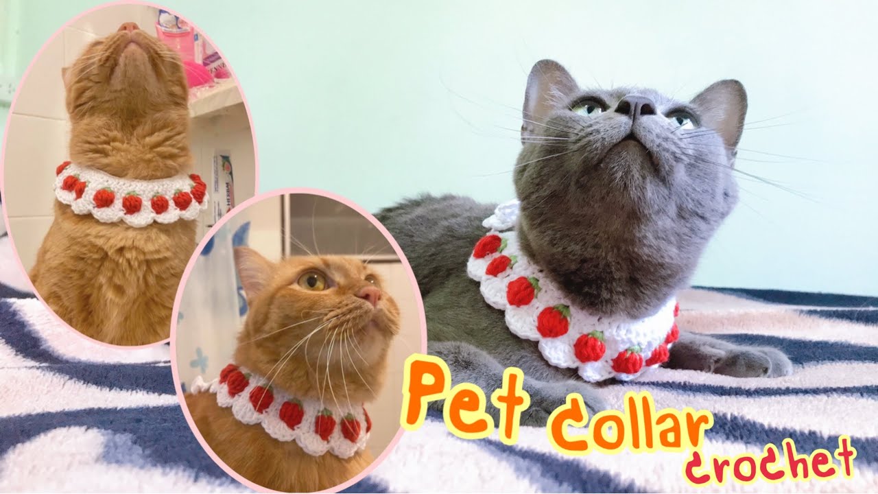 Pet collar crochet Tutorial : ถักปลอกคอ น้องแมว