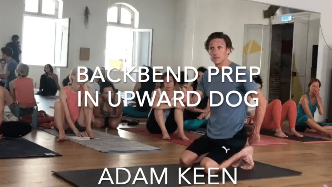 Creating the Space For Backbends in Upward Dog