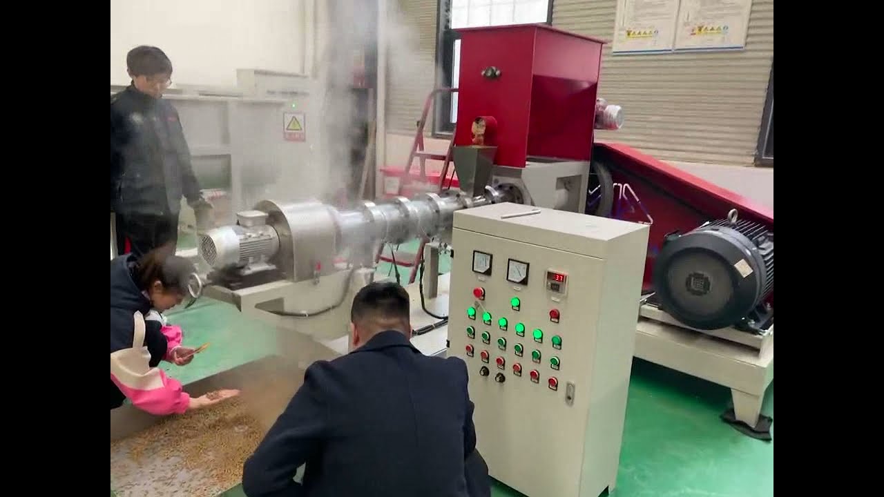 Lima Model 120 Fish Feed Extruder Machine with Stable Performance