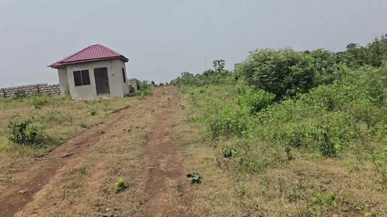 ПРОВЕРКА СИТУАЦИИ НА СУШЕ В ГАНЕ 🇬🇭 😀