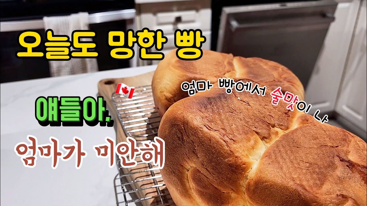 오늘도 나는 눈물젖은 빵을 먹는다. 나는 왜 맨날 빵을 실패할까??? | 청담 캘거리 리뷰