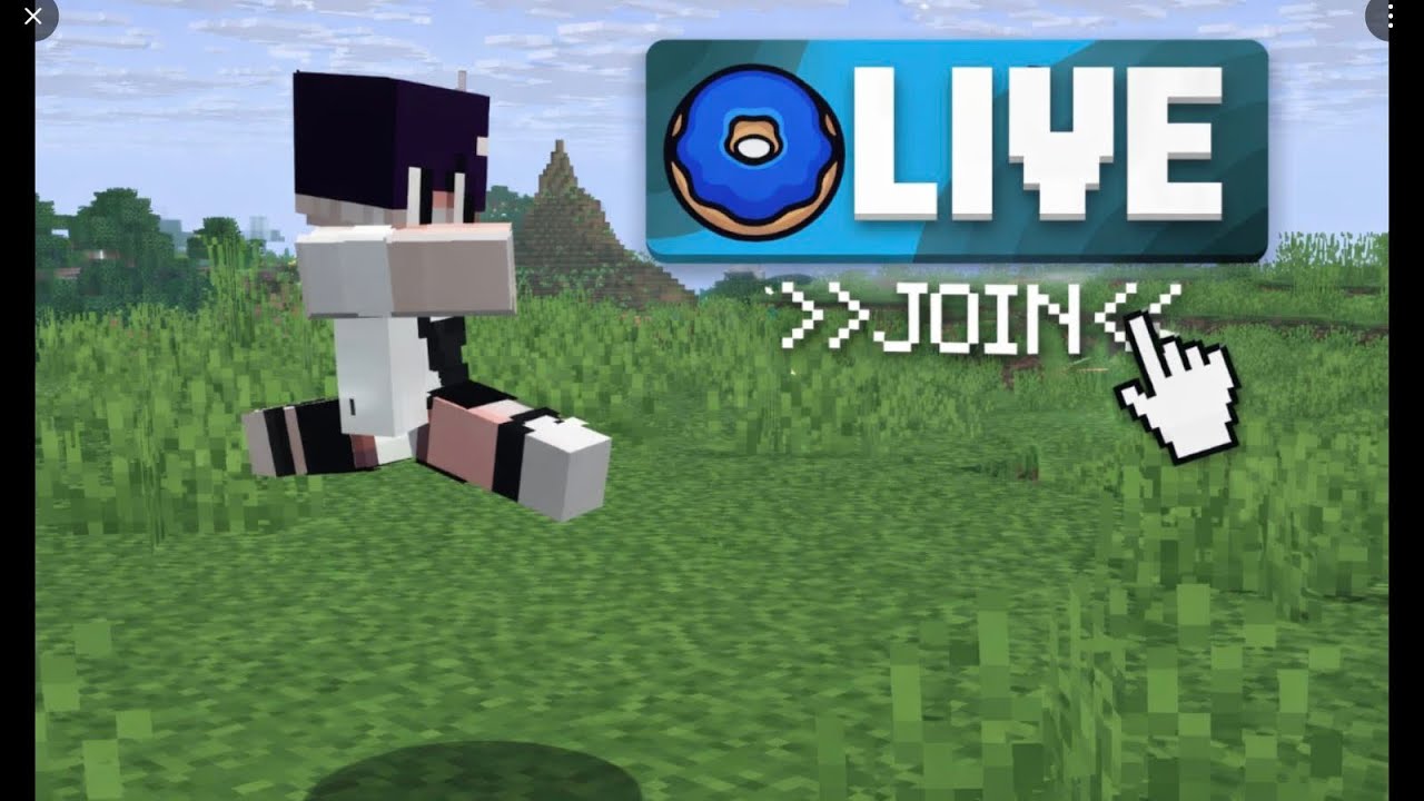 live donutsmp rating bases + clip farms + with nether armor