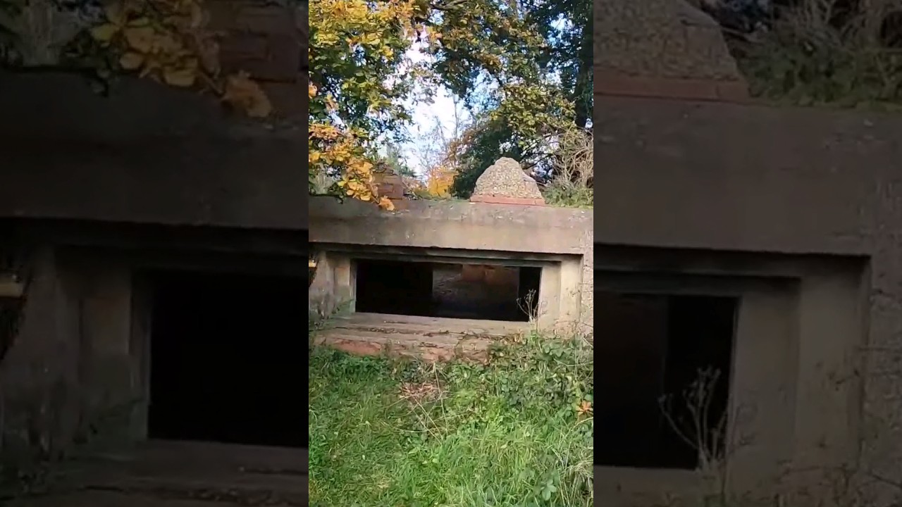 Britain's Forgotten WW2 Bunkers Hidden Under A Tree #ww2 #bunker #exploring