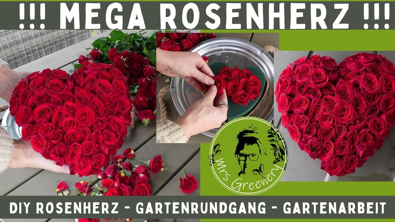 DIY Mega Rosenherz: Schritt für Schritt erklärt! & Gartenrundgang