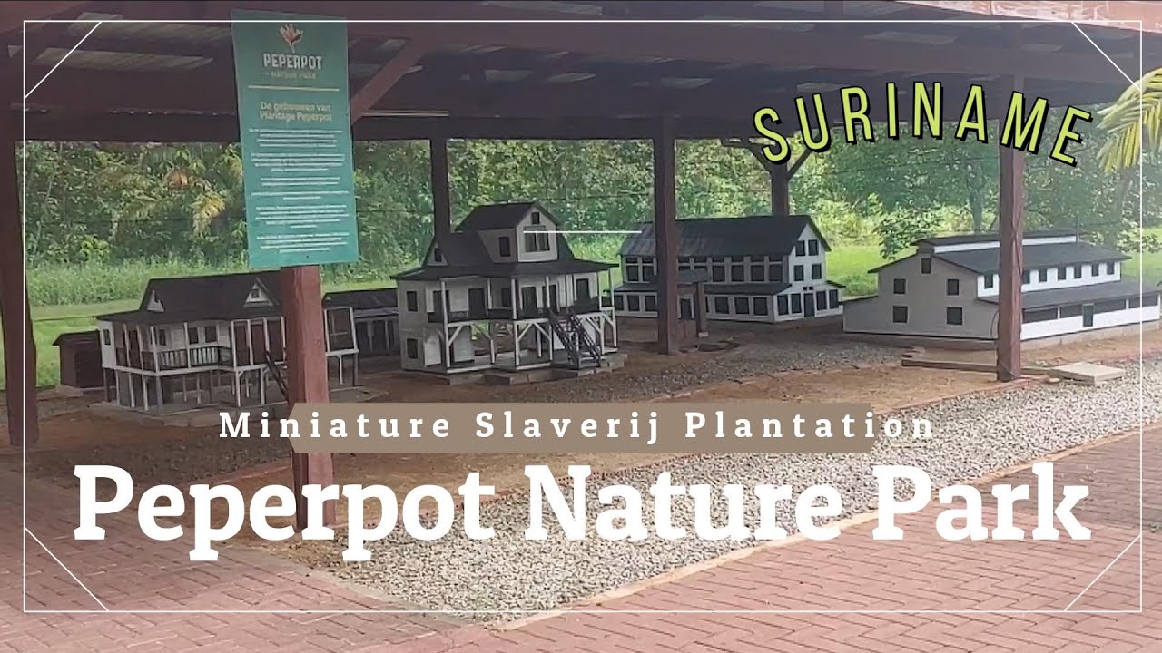 Peperpot Nature Park miniature design of coffee plantation during Slaverij Times in Suriname