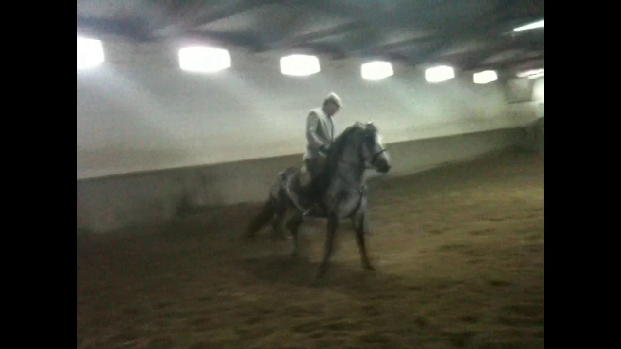 Equitation martiale