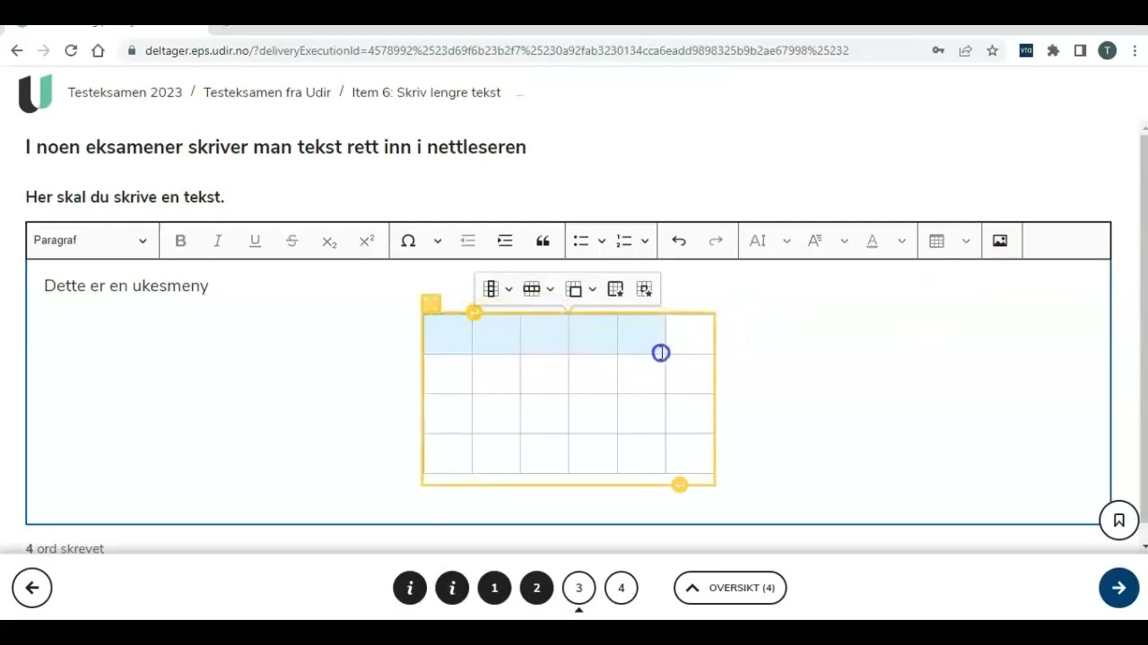 Test teorieksamen