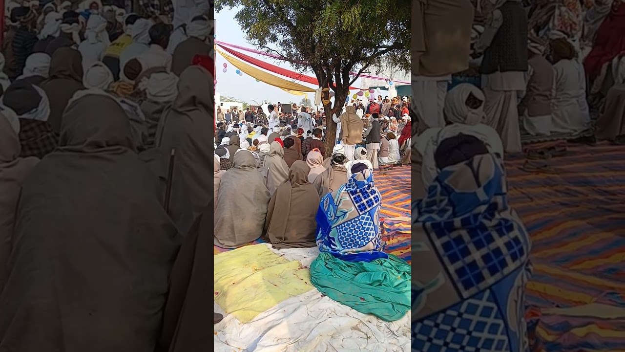 कन्हैया दंगल पार्टी कड़ी गावड़ी #tranding #newreel #feed#instagramreels #facbookviralaong #viralvolg