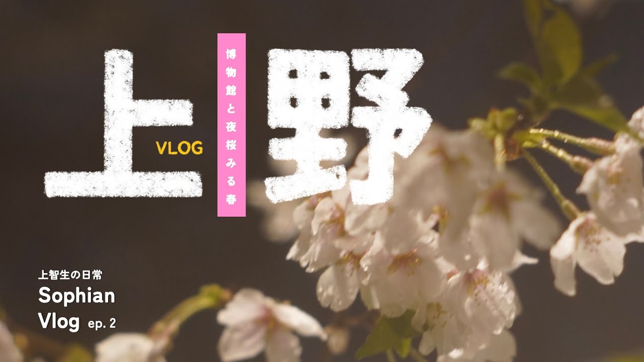上智生の日常 Vlog｜Ep. 2：博物館と夜桜みる春