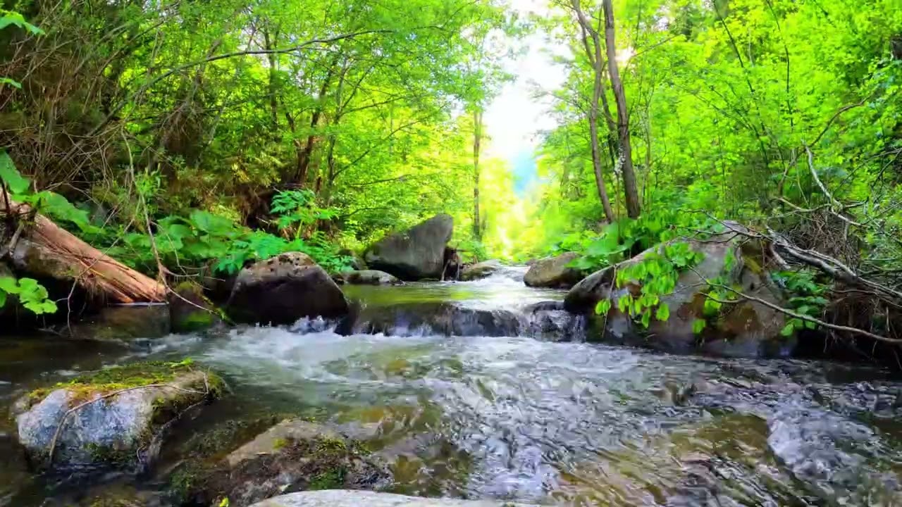 1 Hour Mellow Meditation for Quiet Mind