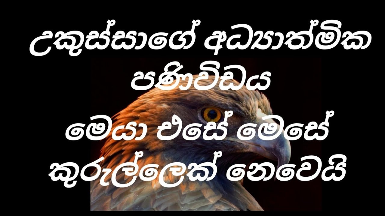 *Messages from the Eagle: 10 Spiritual Lessons 🦅✨*