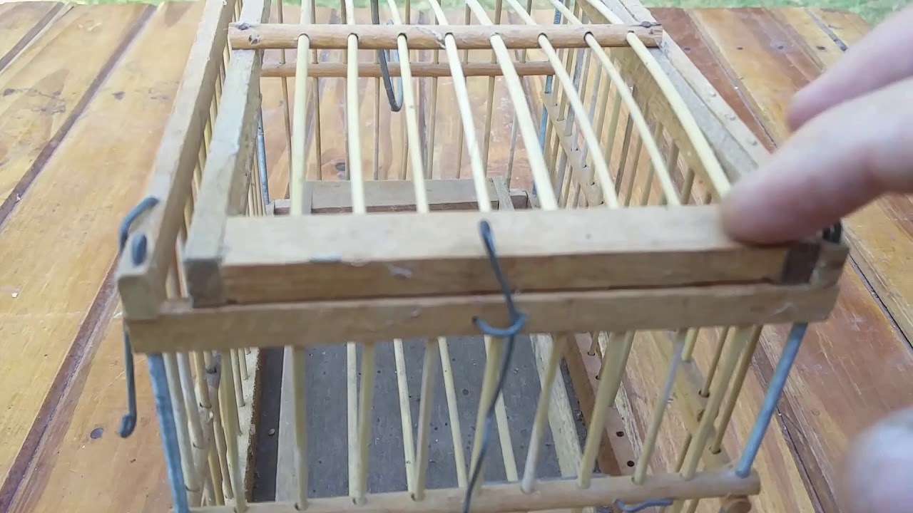 Trampera  Ingeniosa Para Pajaros -  Original Bird Trap