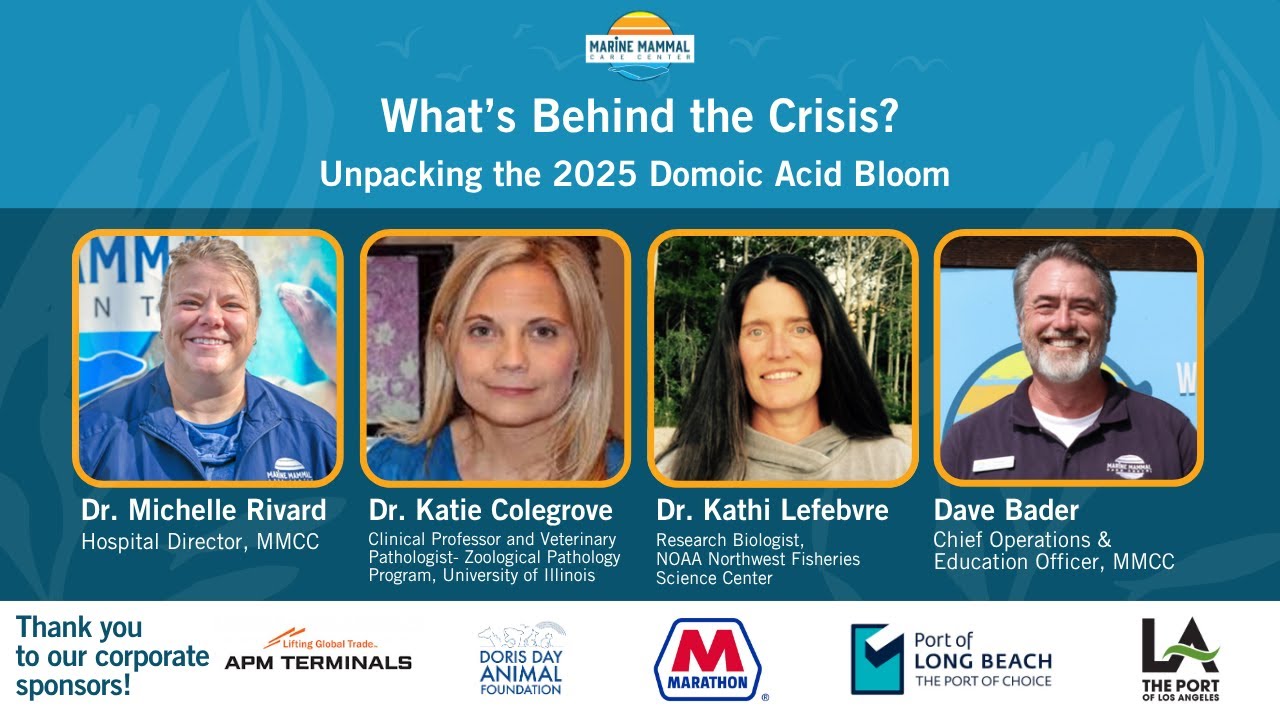 What’s Behind the Crisis? Unpacking the 2025 Domoic Acid Bloom