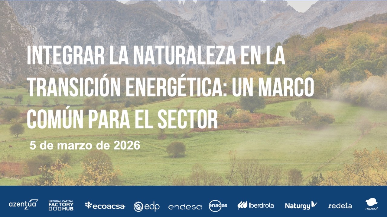Integrar la naturaleza en la transición energética: un marco común para el sector