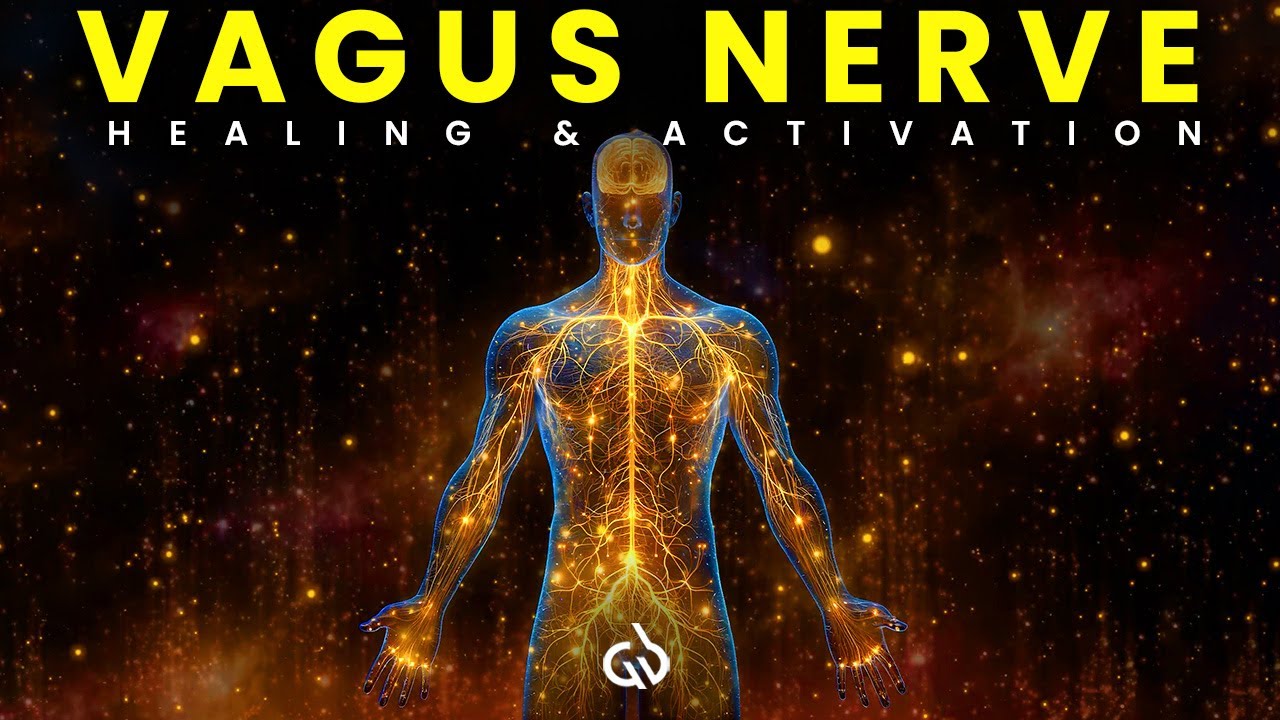 Vagus Nerve Activation: Healing Frequency for Nervous System Repair & Recovery