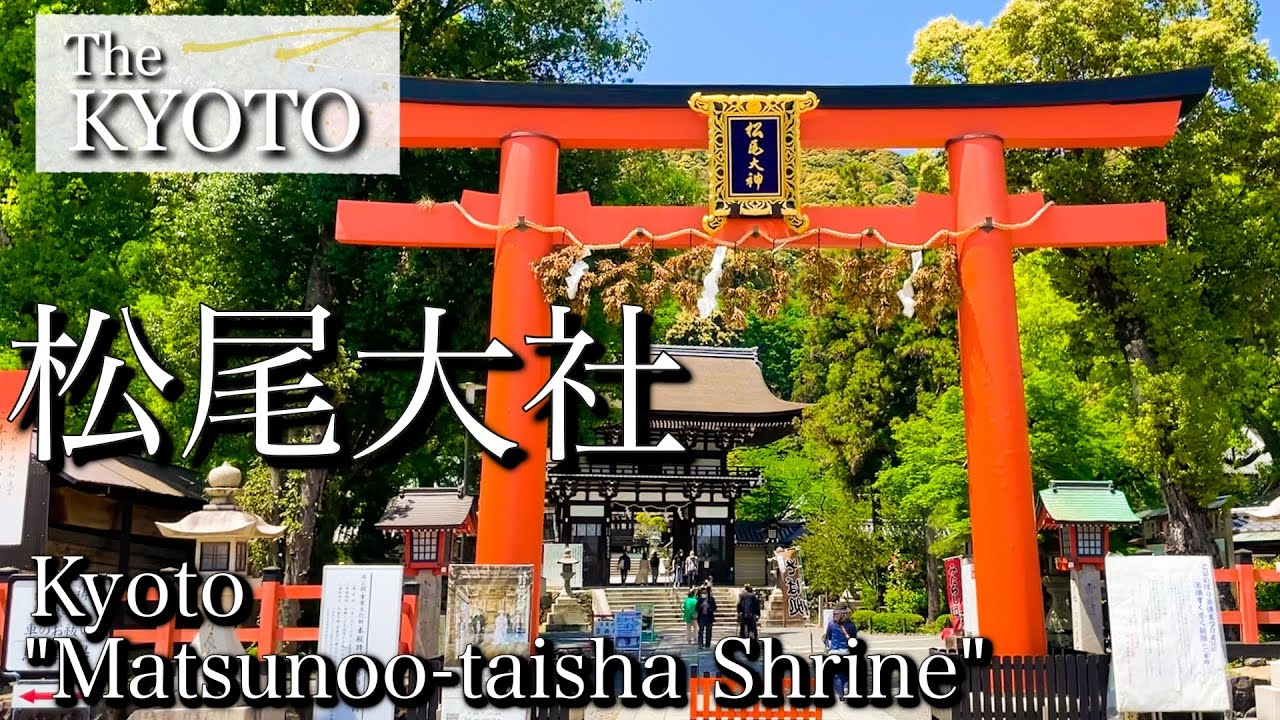 [京都|Kyoto]パワースポット松尾大社を散策、京都最古の神社の一つを巡る｜Kyoto 