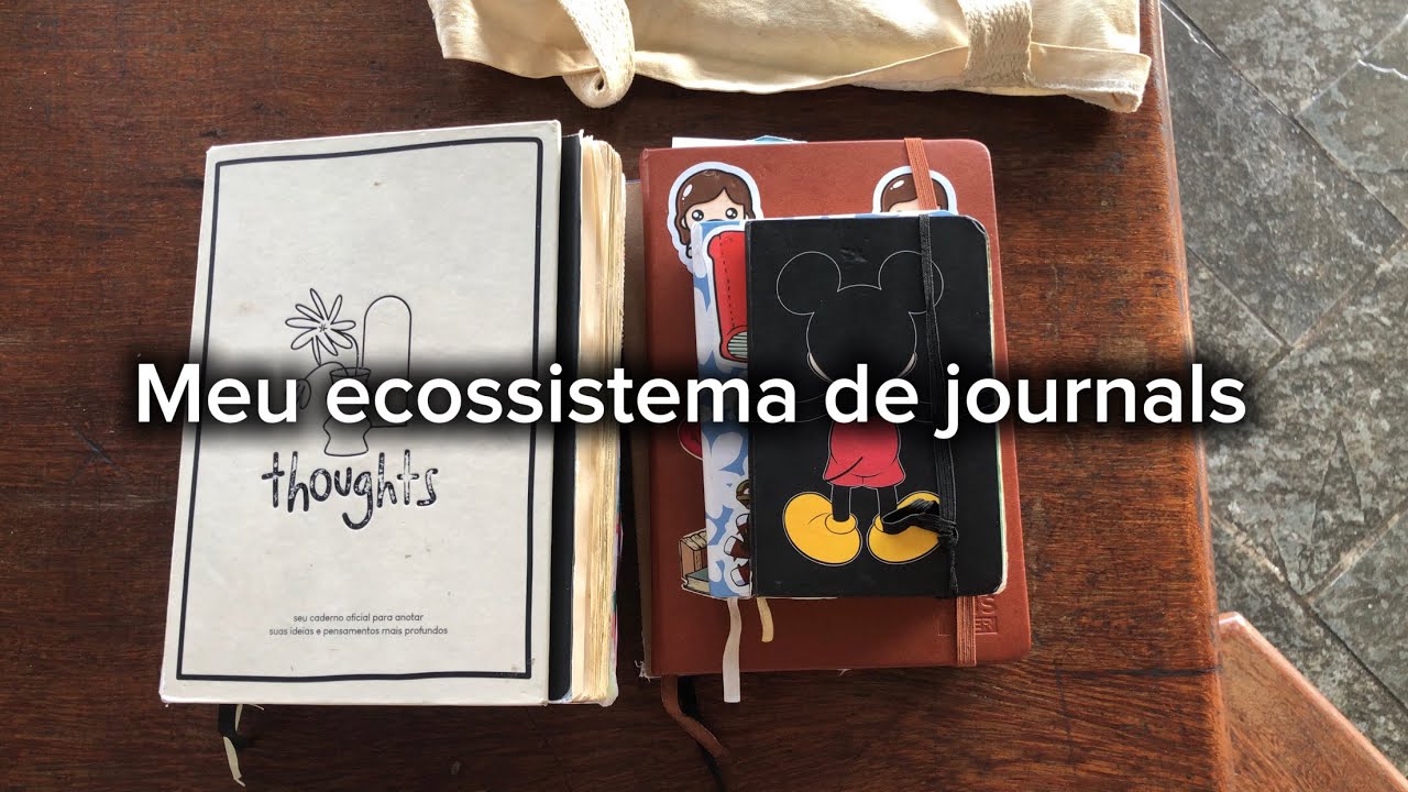 Ecossistema de cadernos! Usei todos? 
