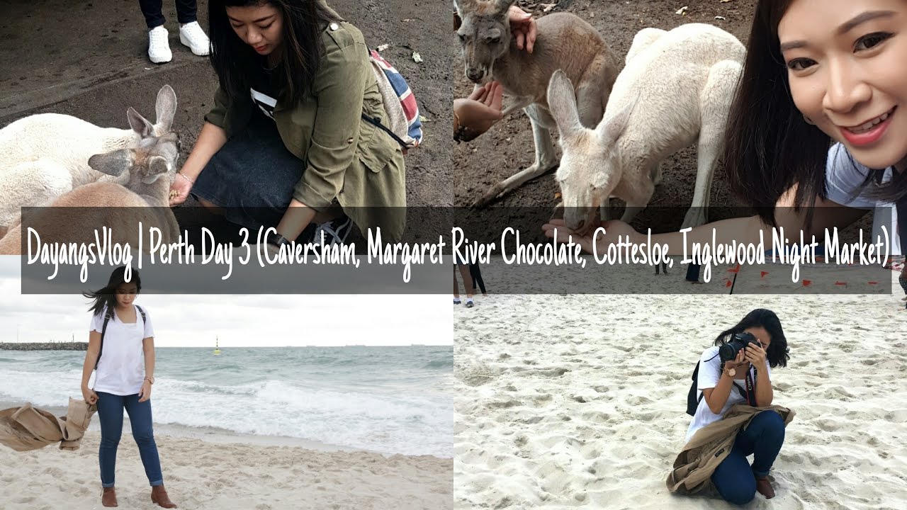DayangsVlog | Perth Day 3 (Caversham, Cottesloe, Inglewood Night Market) | dygans90
