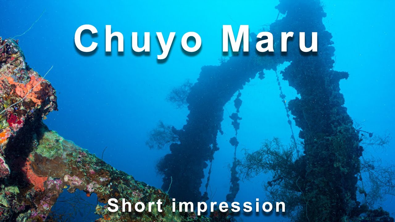 Diving the Chuyo Maru wreck (Palau - Micronesia)