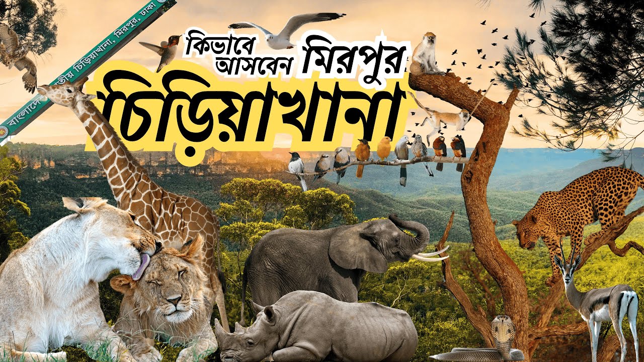 মিরপুর জাতীয় চিড়িয়াখানা, কি কি দেখবেন, কখন যাবেন, কিভাবে যাবেন ।National Zoo Mirpur। #saonvlog #zoo